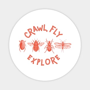 Crawl, Fly, Explore! Magnet